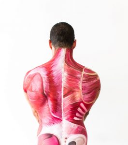 A male model with bodypaint on his back showing muscles